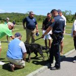 veterans dogs